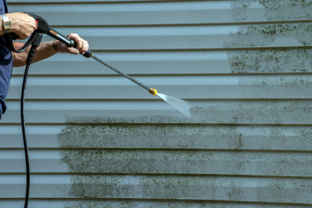Animal Enclosure Cleaning in Starke, FL